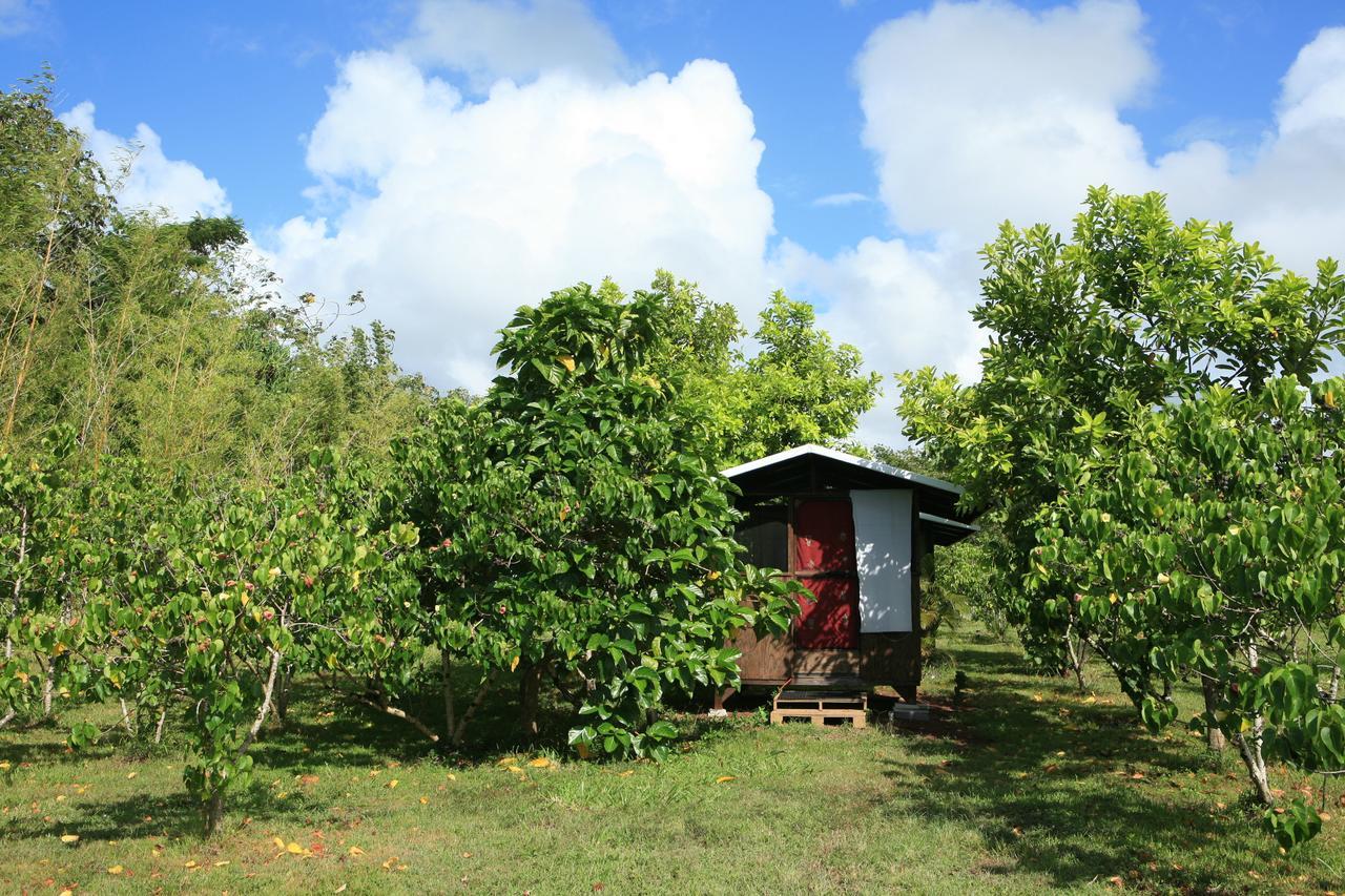 Kirpal Meditation And Ecological Center Pahoa Екстер'єр фото