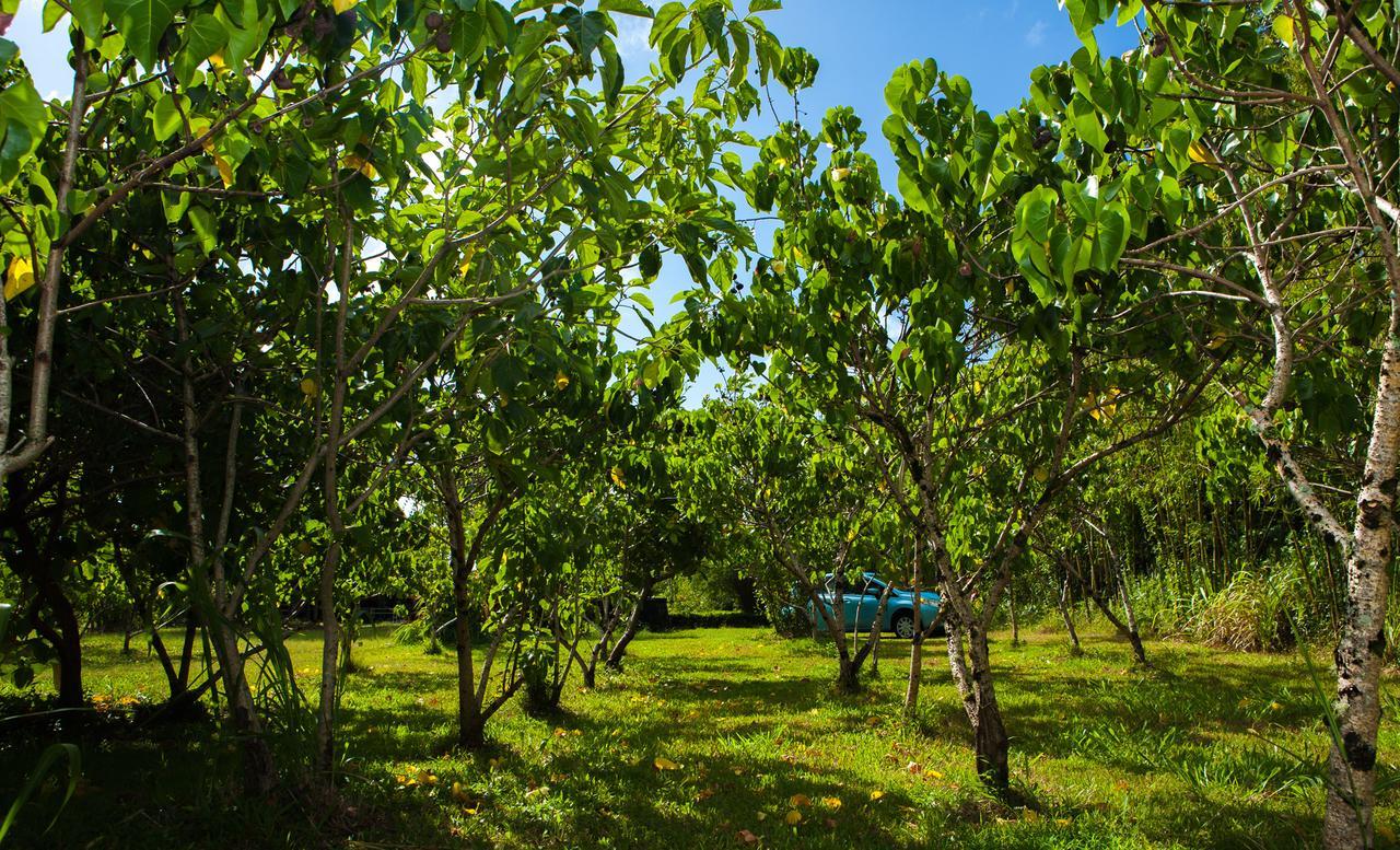 Kirpal Meditation And Ecological Center Pahoa Екстер'єр фото