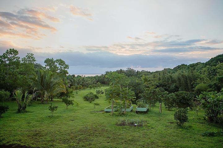 Kirpal Meditation And Ecological Center Pahoa Екстер'єр фото