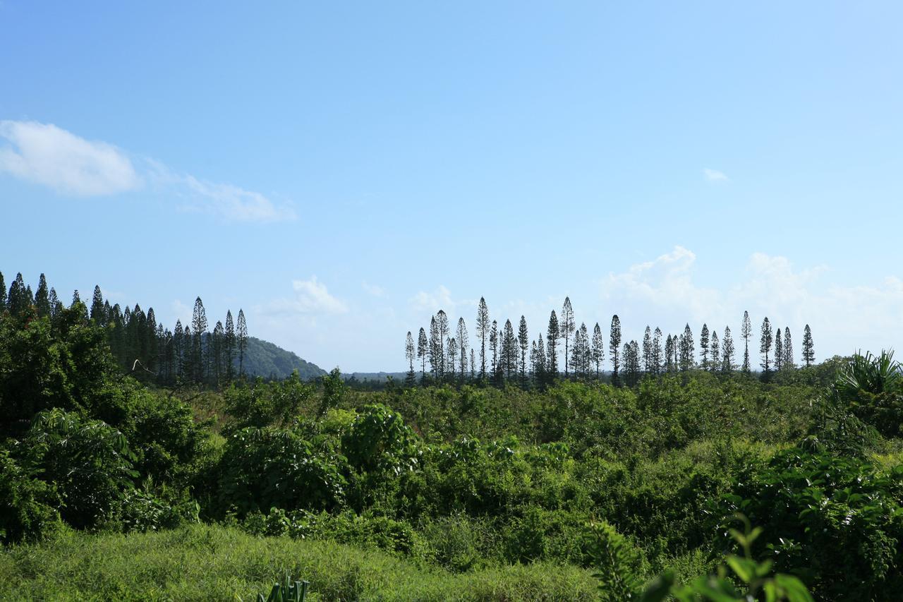 Kirpal Meditation And Ecological Center Pahoa Екстер'єр фото