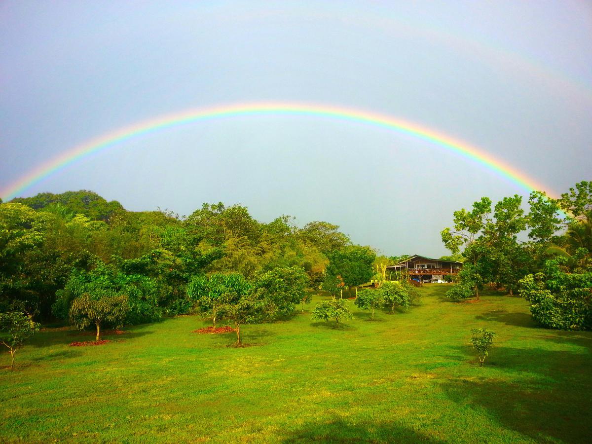 Kirpal Meditation And Ecological Center Pahoa Екстер'єр фото